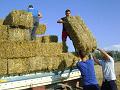 Preparazione campo (5)